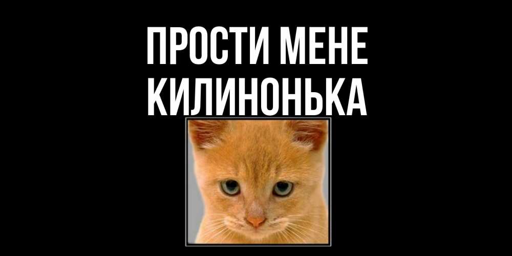 Открытка на каждый день з підписом, Килинонька Прости мене рыжий грустный кот просит прощения Прикольна листівка з побажанням онлайн скачати безкоштовно 