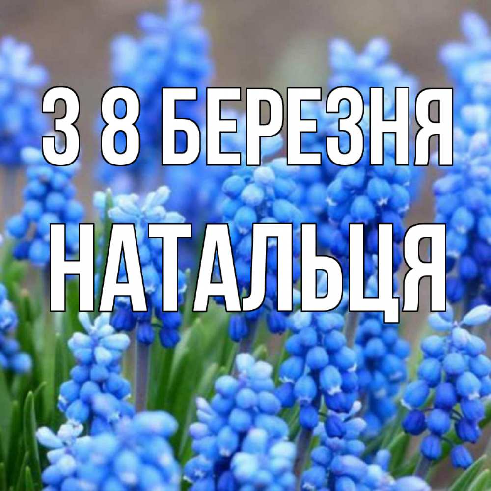 Открытка на каждый день з підписом, Натальця З 8 БЕРЕЗНЯ Поздравительная открытка для женщин с цветами на праздничную дату Прикольна листівка з побажанням онлайн скачати безкоштовно 