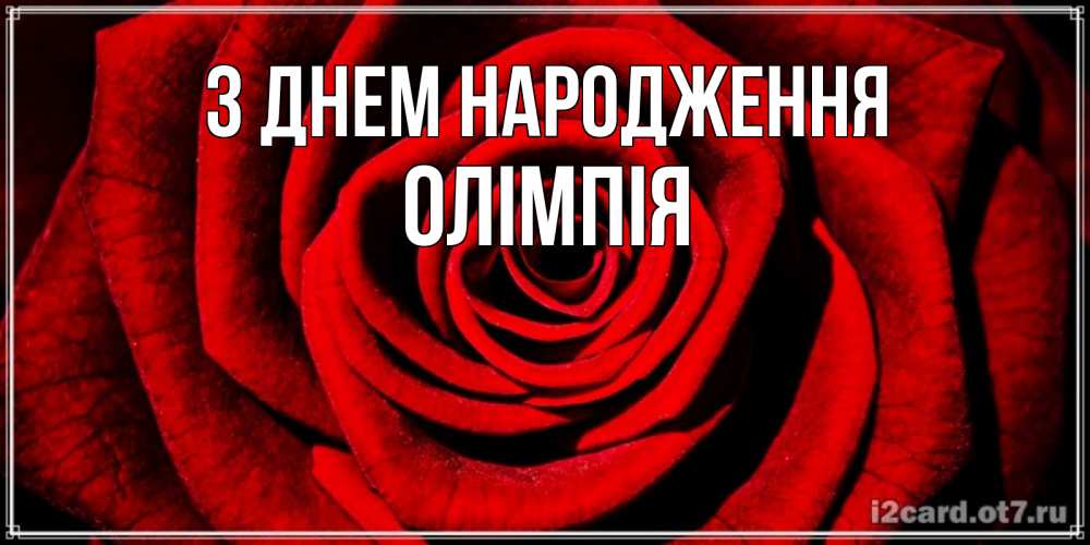Открытка на каждый день з підписом, Олімпія З Днем народження алая роза Прикольна листівка з побажанням онлайн скачати безкоштовно 