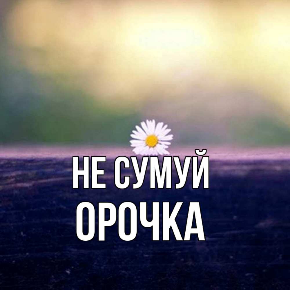 Открытка на каждый день з підписом, Орочка Не сумуй красота Прикольна листівка з побажанням онлайн скачати безкоштовно 