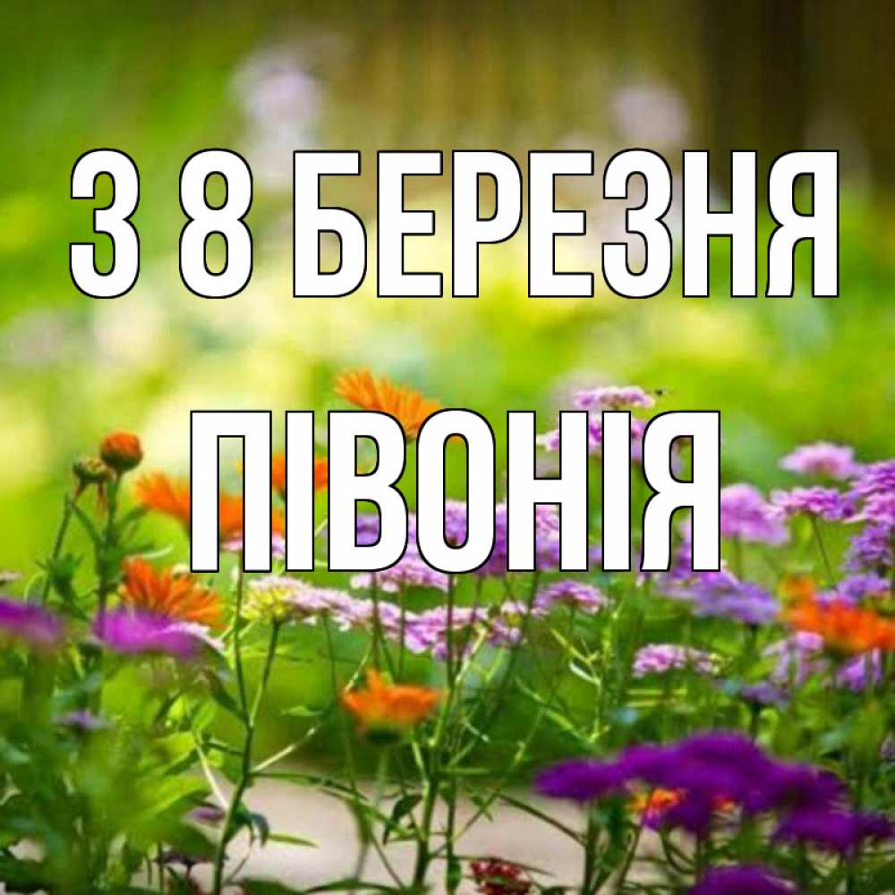 Открытка на каждый день з підписом, Півонія З 8 БЕРЕЗНЯ цветы Прикольна листівка з побажанням онлайн скачати безкоштовно 