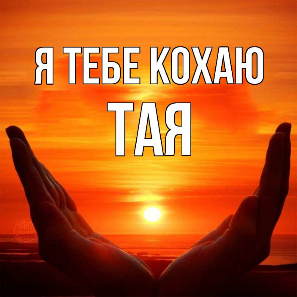 Открытка на каждый день з підписом, Тая Я тебе кохаю в руках Прикольна листівка з побажанням онлайн скачати безкоштовно 