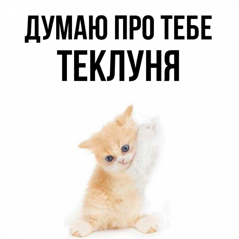 Открытка на каждый день з підписом, Теклуня Думаю про тебе зверушки и милота Прикольна листівка з побажанням онлайн скачати безкоштовно 