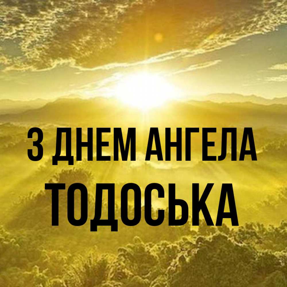 Открытка на каждый день з підписом, Тодоська З Днем ангела леса и небо в желтом Прикольна листівка з побажанням онлайн скачати безкоштовно 