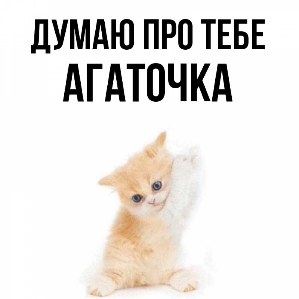 Открытка на каждый день з підписом, Агаточка Думаю про тебе зверушки и милота Прикольна листівка з побажанням онлайн скачати безкоштовно 