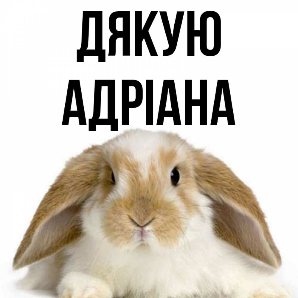 Открытка на каждый день з підписом, Адріана Дякую коричнево белый заяц Прикольна листівка з побажанням онлайн скачати безкоштовно 