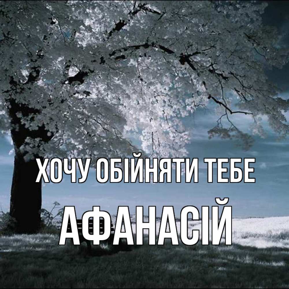Открытка на каждый день з підписом, Афанасій Хочу обійняти тебе дерево Прикольна листівка з побажанням онлайн скачати безкоштовно 