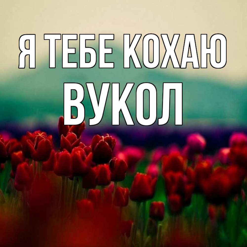 Открытка на каждый день з підписом, Вукол Я тебе кохаю тюльпаны 4 Прикольна листівка з побажанням онлайн скачати безкоштовно 