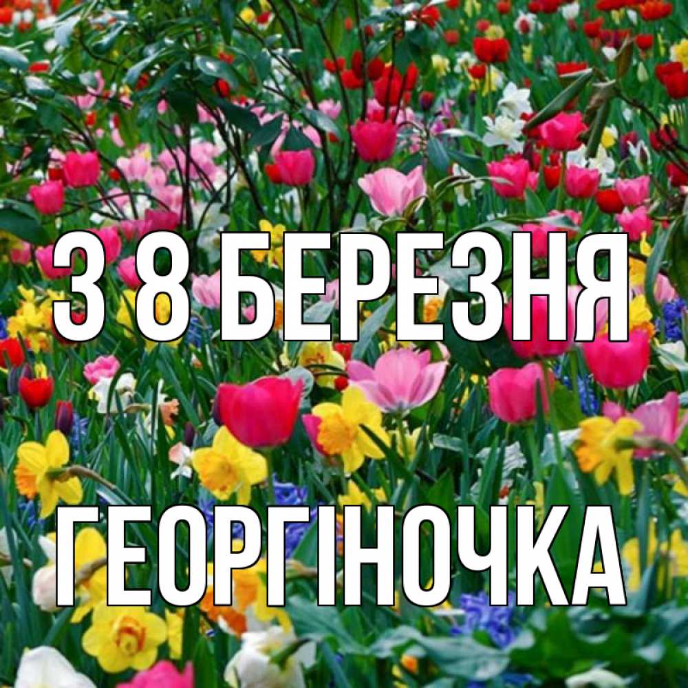 Открытка на каждый день з підписом, Георгіночка З 8 БЕРЕЗНЯ с международным женским днем поздравления для женщины Прикольна листівка з побажанням онлайн скачати безкоштовно 