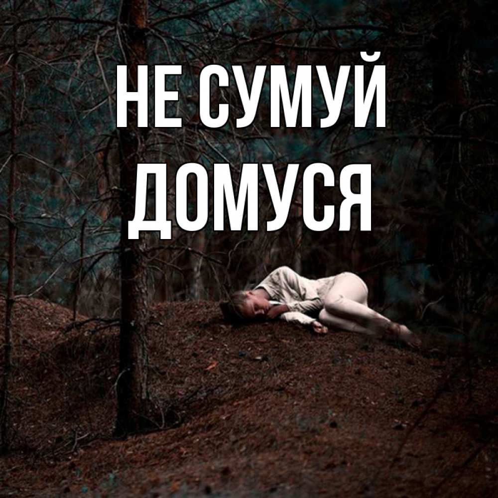Открытка на каждый день з підписом, Домуся Не сумуй лес Прикольна листівка з побажанням онлайн скачати безкоштовно 