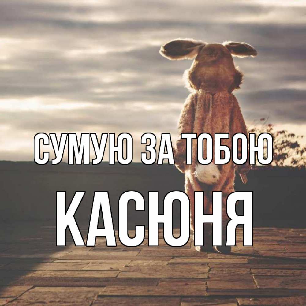 Открытка на каждый день з підписом, Касюня Сумую за тобою даже в костюме зайца Прикольна листівка з побажанням онлайн скачати безкоштовно 