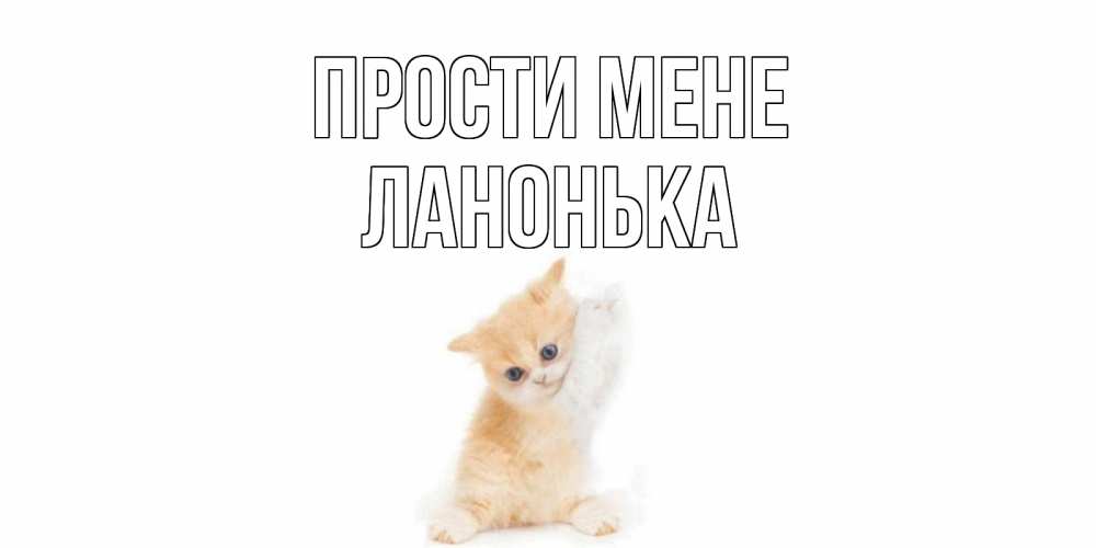Открытка на каждый день з підписом, Ланонька Прости мене кот Прикольна листівка з побажанням онлайн скачати безкоштовно 