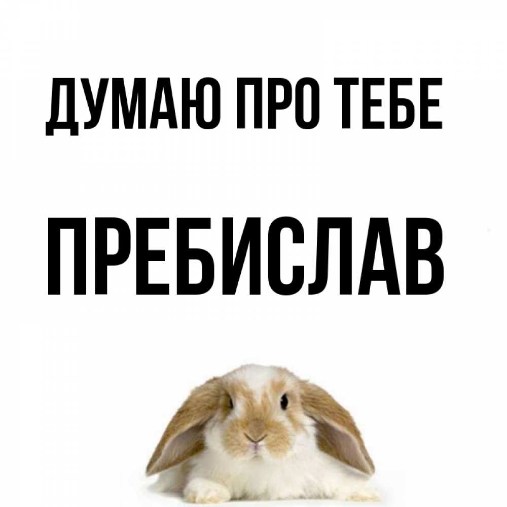 Открытка на каждый день з підписом, Пребислав Думаю про тебе подписать своими руками онлайн Прикольна листівка з побажанням онлайн скачати безкоштовно 