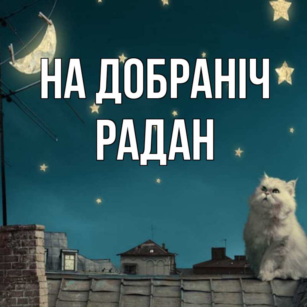Открытка на каждый день з підписом, Радан На добраніч белый кот сидит на крыше Прикольна листівка з побажанням онлайн скачати безкоштовно 