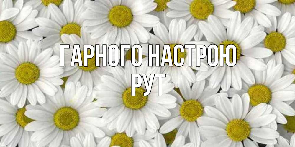 Открытка на каждый день з підписом, Рут Гарного настрою поляна ромашек Прикольна листівка з побажанням онлайн скачати безкоштовно 