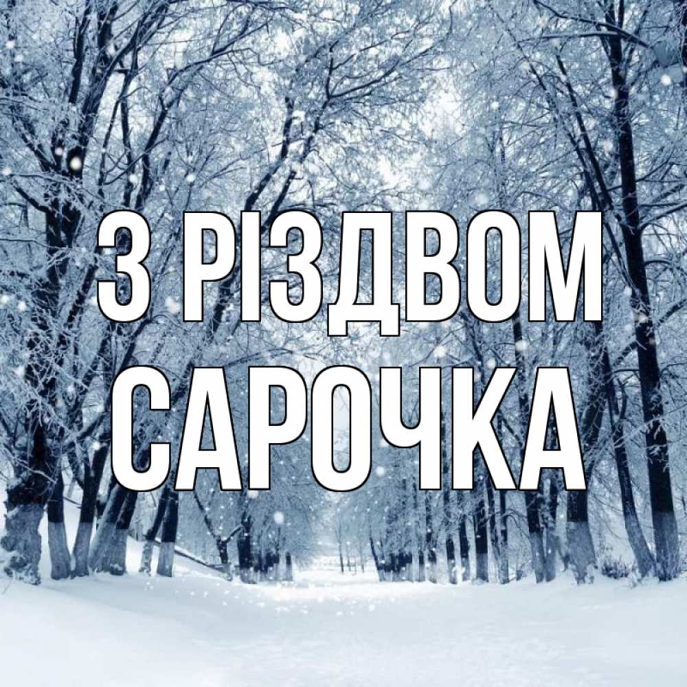 Открытка на каждый день з підписом, Сарочка З Різдвом снег, лес, парк Прикольна листівка з побажанням онлайн скачати безкоштовно 