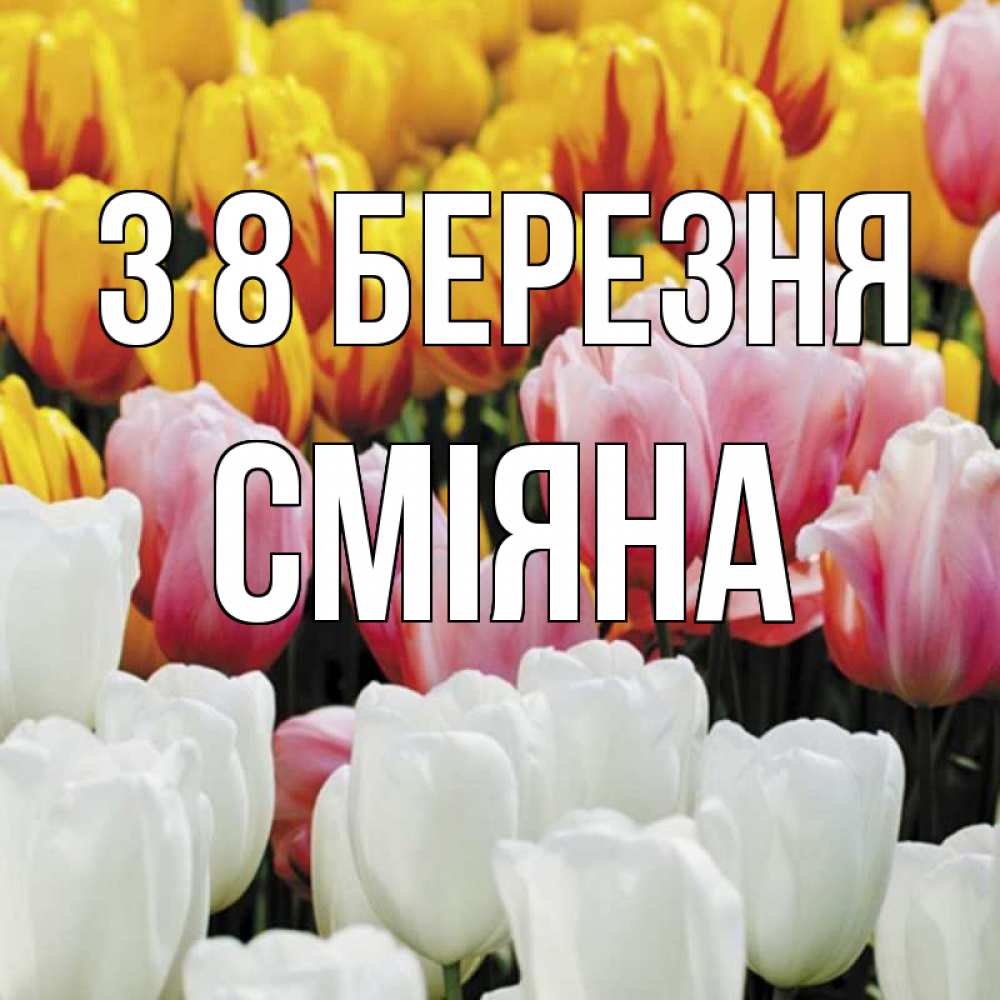 Открытка на каждый день з підписом, Сміяна З 8 БЕРЕЗНЯ разноцветные цветы Прикольна листівка з побажанням онлайн скачати безкоштовно 