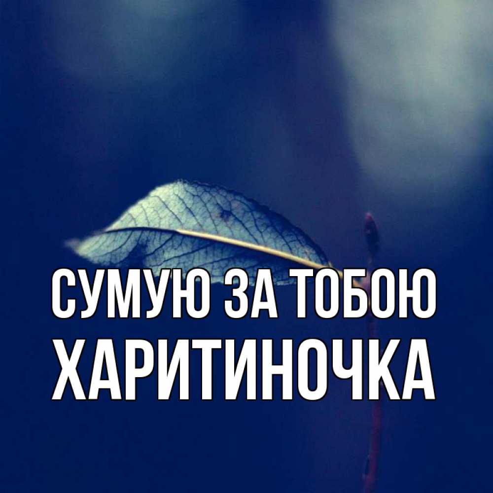 Открытка на каждый день з підписом, Харитиночка Сумую за тобою одна ветка 1 Прикольна листівка з побажанням онлайн скачати безкоштовно 