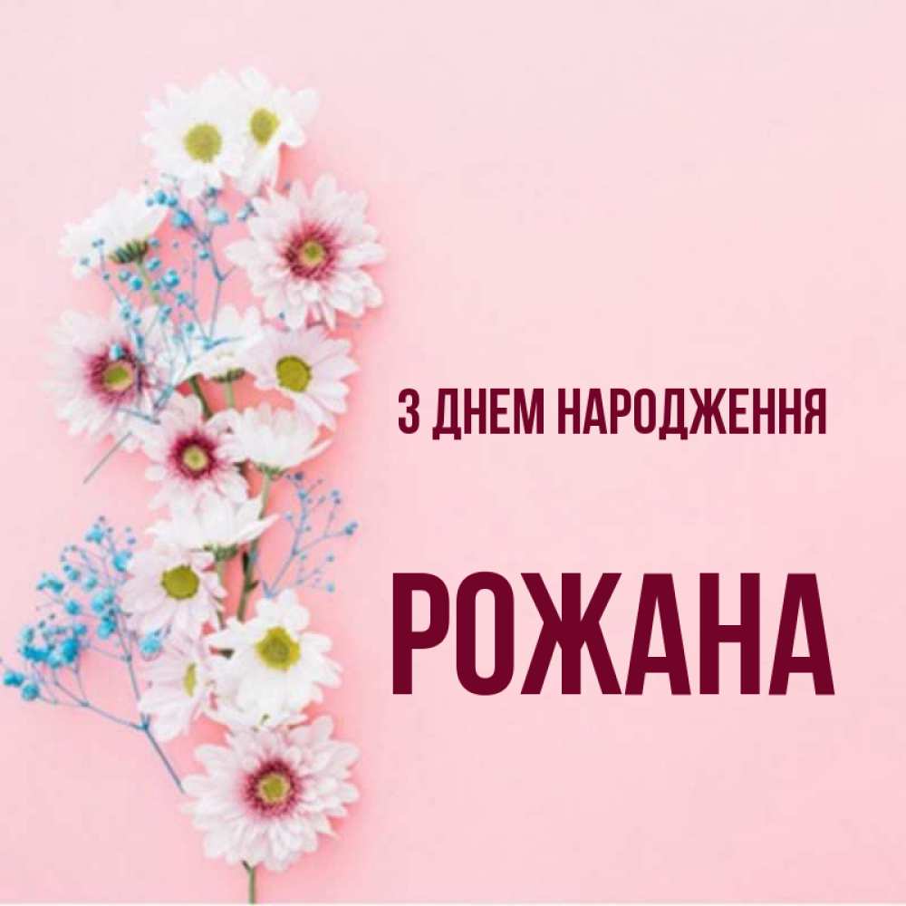 Открытка на каждый день з підписом, Рожана З Днем народження Родная моя с днем рождения тебя картинка с цветами белыми и голубыми Прикольна листівка з побажанням онлайн скачати безкоштовно 