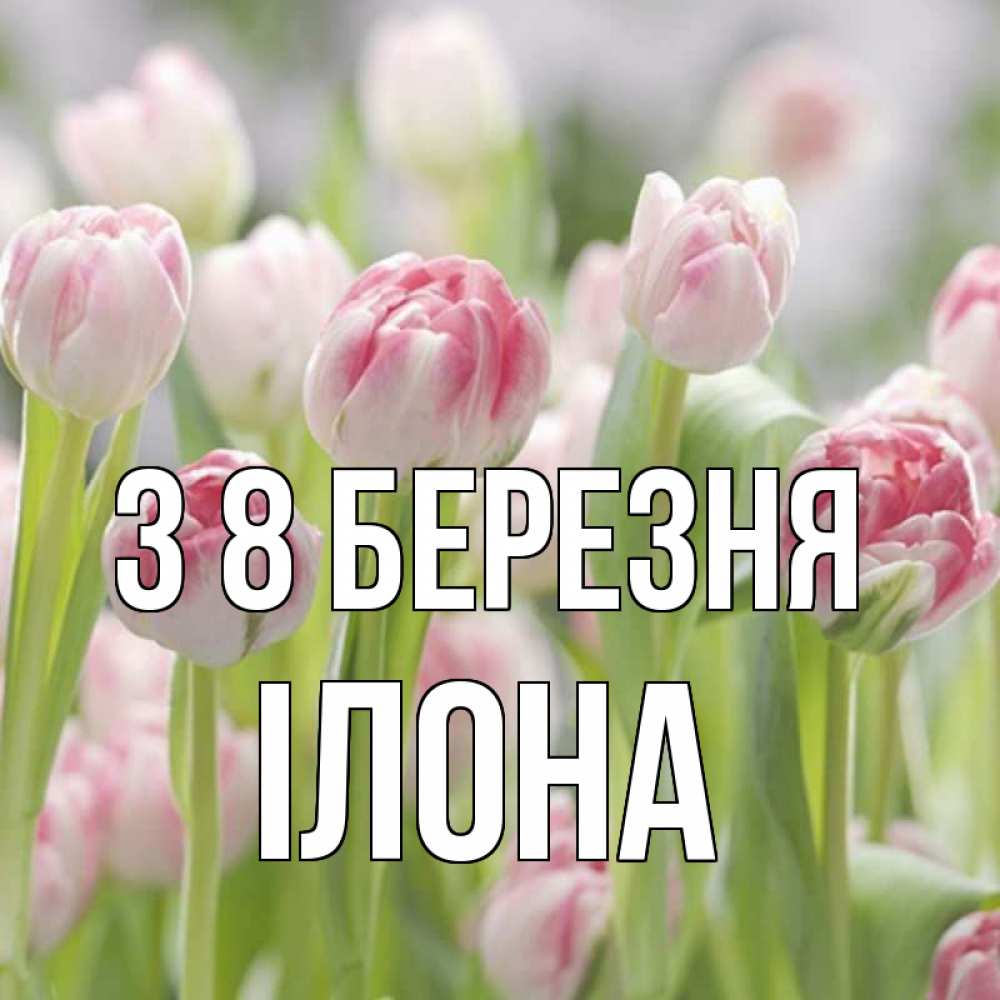 Открытка на каждый день з підписом, Ілона З 8 БЕРЕЗНЯ цветы Прикольна листівка з побажанням онлайн скачати безкоштовно 