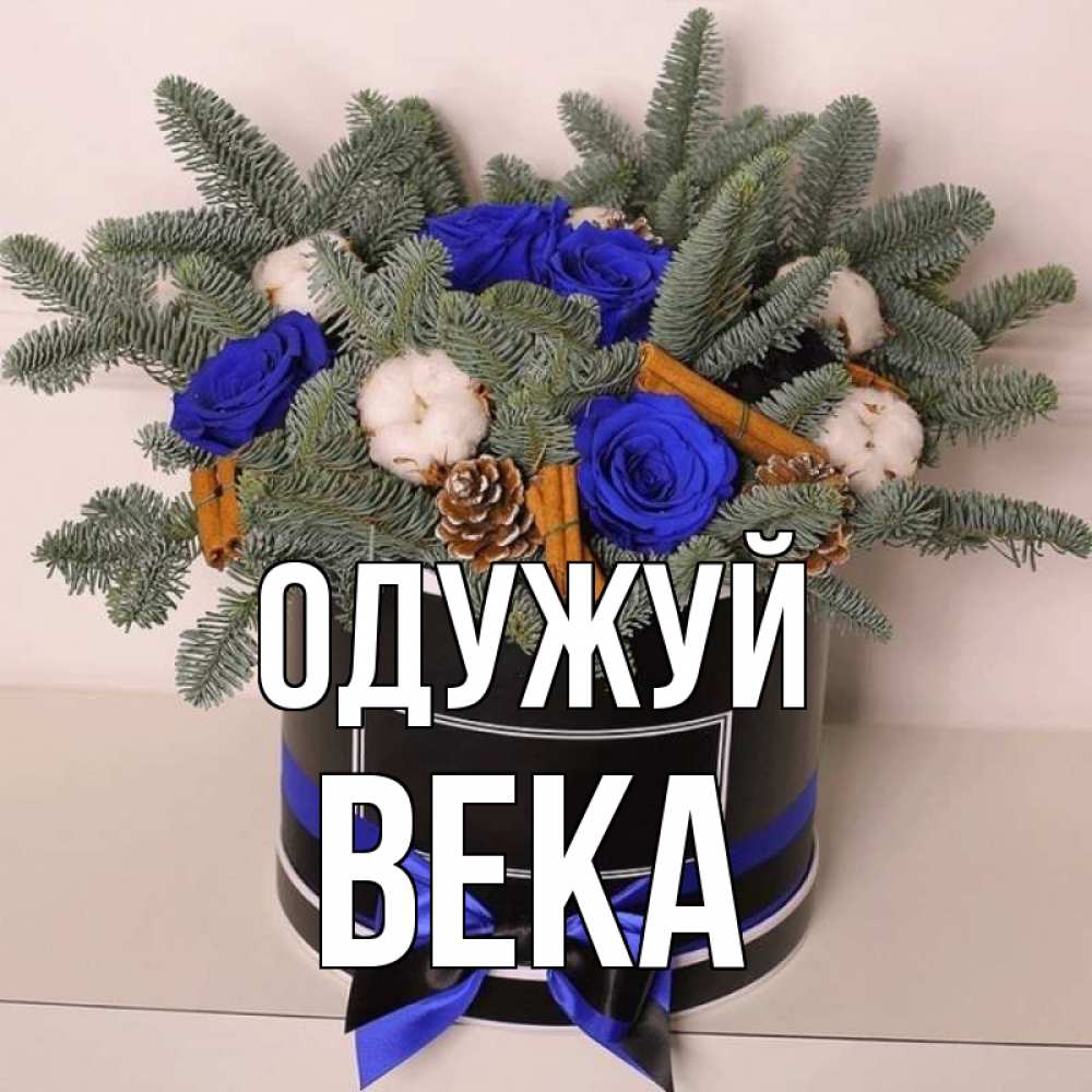 Открытка на каждый день з підписом, Века Одужуй короче кто то загрузил эти шишки Прикольна листівка з побажанням онлайн скачати безкоштовно 