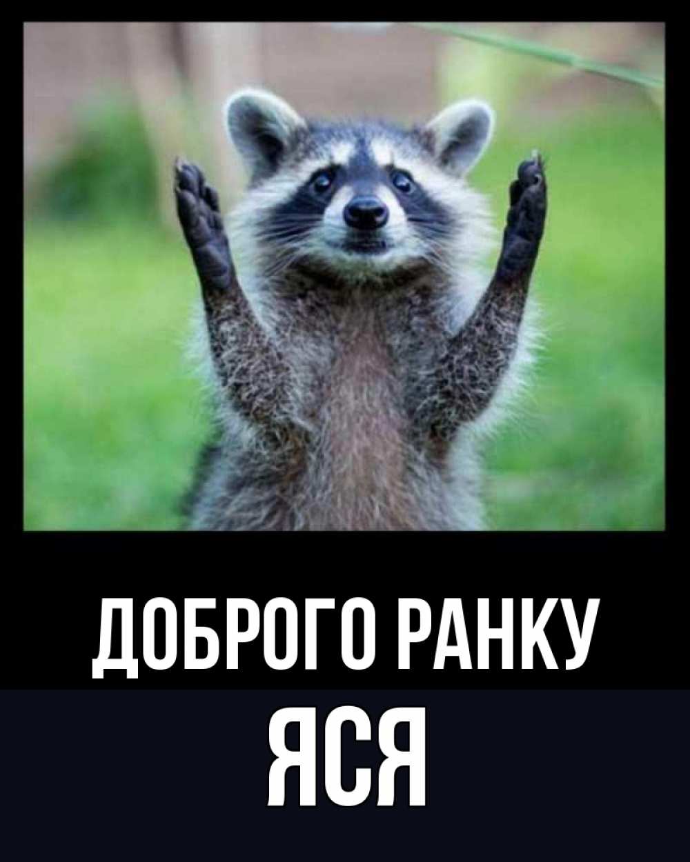 Открытка на каждый день з підписом, Яся Доброго ранку хорошее настроение утречком Прикольна листівка з побажанням онлайн скачати безкоштовно 