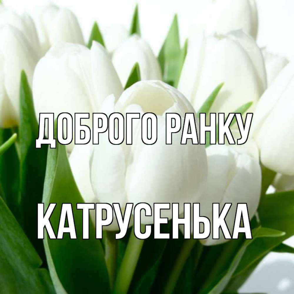 Открытка на каждый день з підписом, Катрусенька Доброго ранку открытки на каждый день по именам Прикольна листівка з побажанням онлайн скачати безкоштовно 