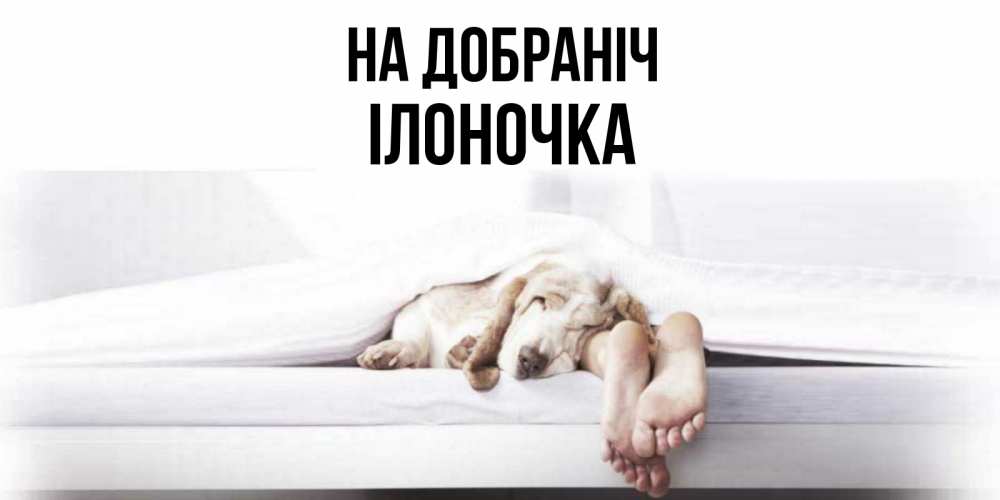 Открытка на каждый день з підписом, Ілоночка На добраніч кровать с собакой пожелание сладких снов и спокойной ночи Прикольна листівка з побажанням онлайн скачати безкоштовно 