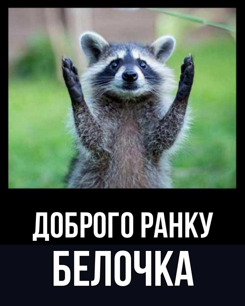 Открытка на каждый день з підписом, Белочка Доброго ранку хорошее настроение утречком Прикольна листівка з побажанням онлайн скачати безкоштовно 
