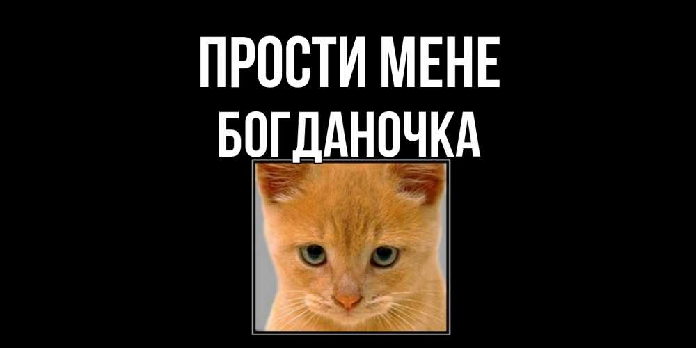 Открытка на каждый день з підписом, Богданочка Прости мене рыжий грустный кот просит прощения Прикольна листівка з побажанням онлайн скачати безкоштовно 