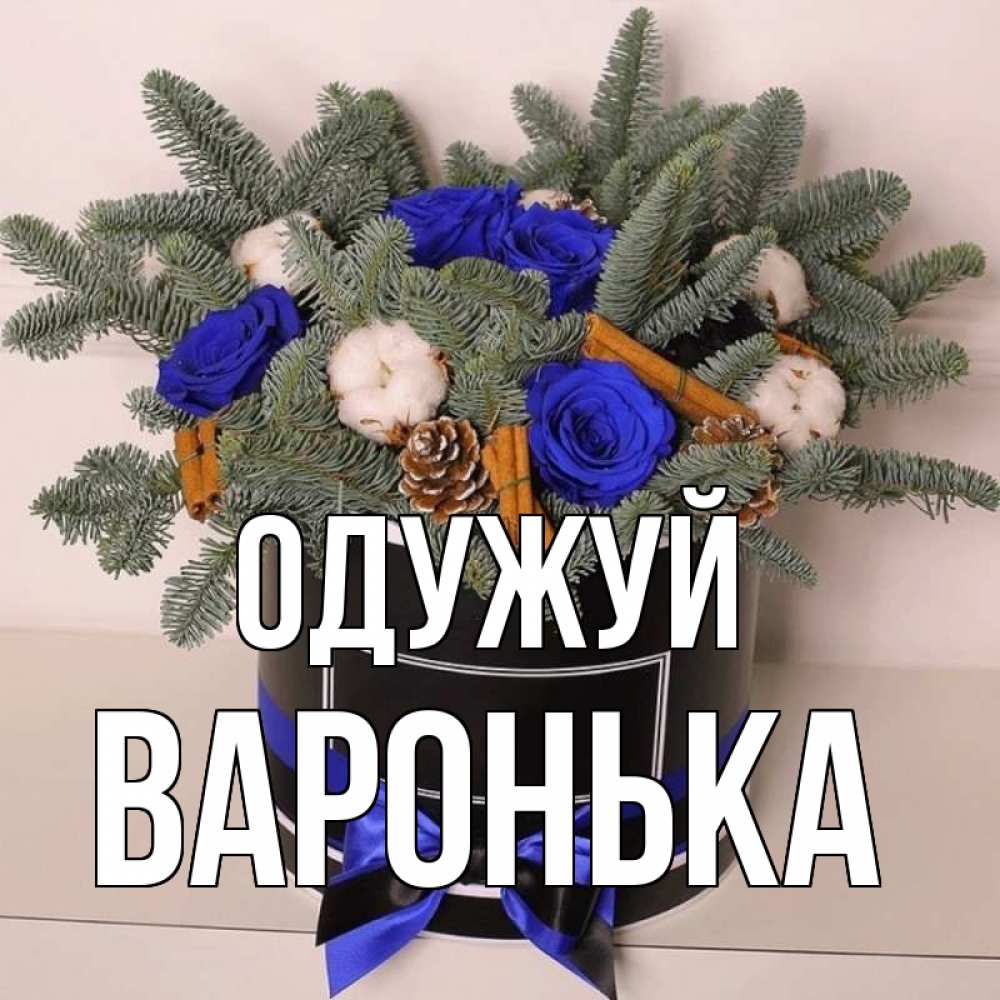 Открытка на каждый день з підписом, Варонька Одужуй короче кто то загрузил эти шишки Прикольна листівка з побажанням онлайн скачати безкоштовно 