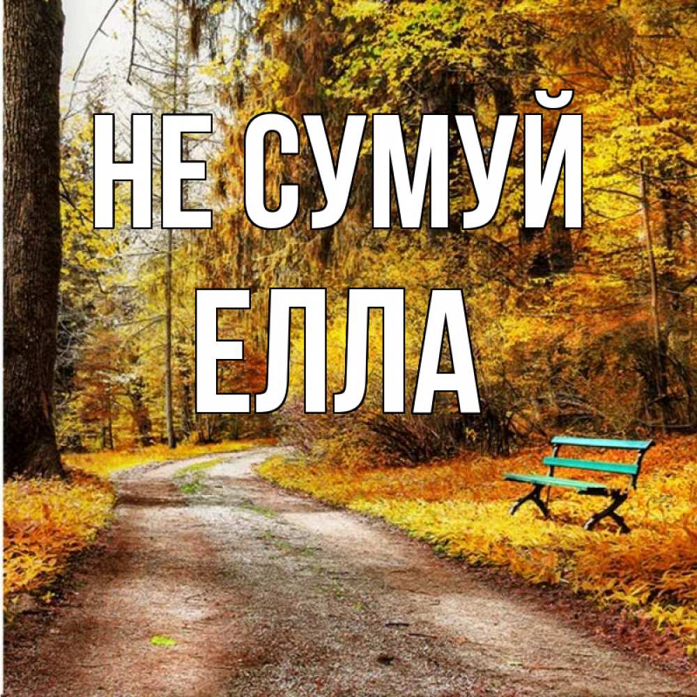 Открытка на каждый день з підписом, Елла Не сумуй зеленая лавочка Прикольна листівка з побажанням онлайн скачати безкоштовно 