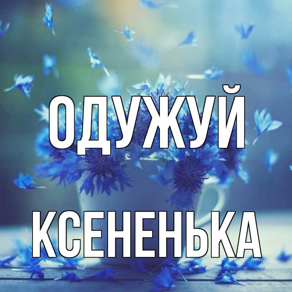 Открытка на каждый день з підписом, Ксененька Одужуй кружка с зельем и цветами Прикольна листівка з побажанням онлайн скачати безкоштовно 