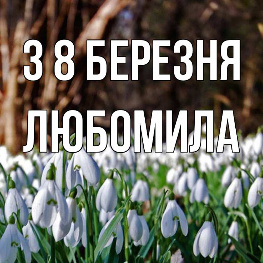 Открытка на каждый день з підписом, Любомила З 8 БЕРЕЗНЯ с подснежниками 1 Прикольна листівка з побажанням онлайн скачати безкоштовно 