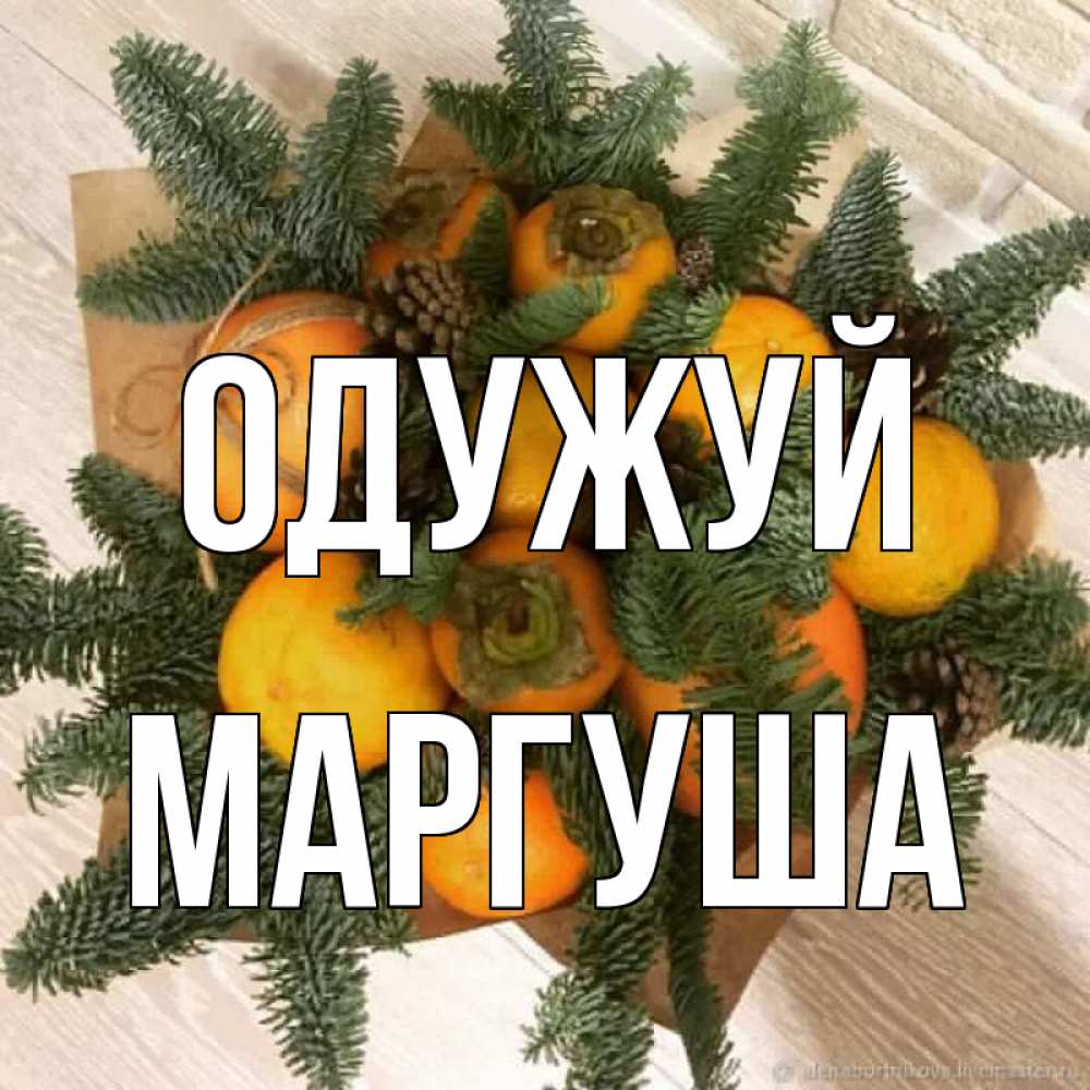 Открытка на каждый день з підписом, Маргуша Одужуй апельсины и хурьма Прикольна листівка з побажанням онлайн скачати безкоштовно 
