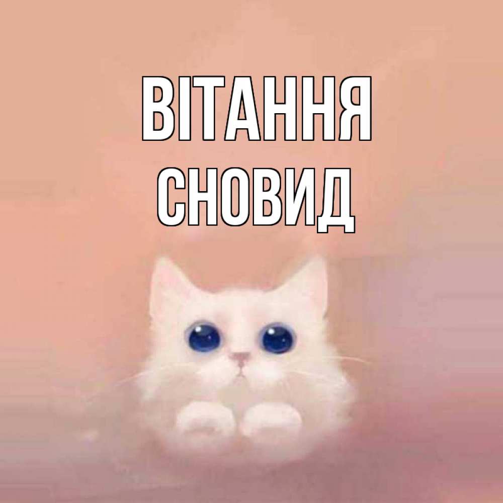 Открытка на каждый день з підписом, Сновид Вітання котик белый в полете Прикольна листівка з побажанням онлайн скачати безкоштовно 