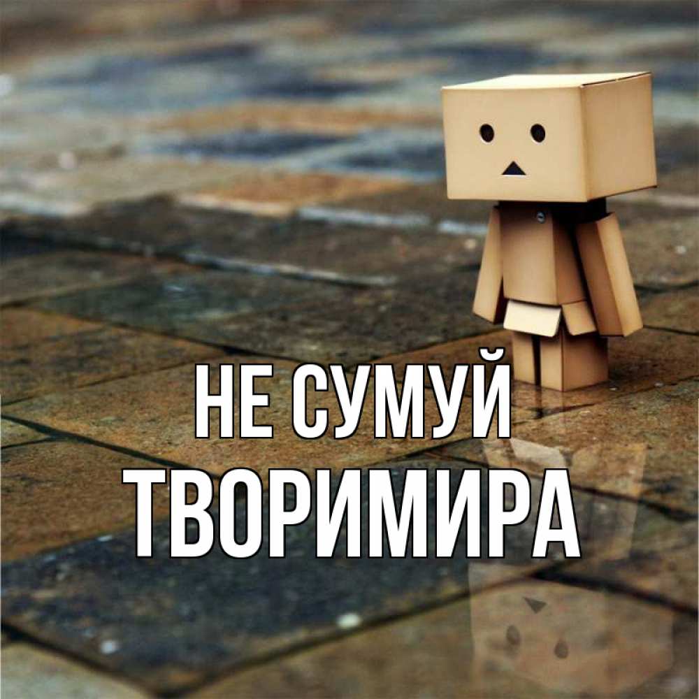 Открытка на каждый день з підписом, Творимира Не сумуй Стив Прикольна листівка з побажанням онлайн скачати безкоштовно 