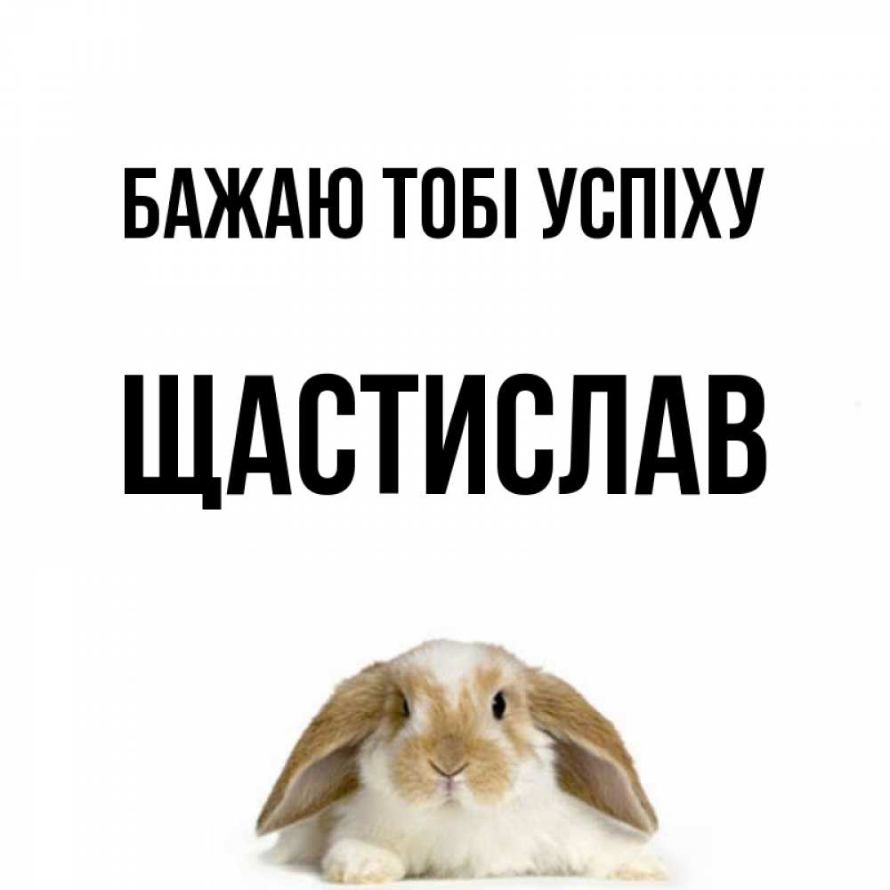 Открытка на каждый день з підписом, Щастислав Бажаю тобі успіху открытки с произвольным текстом который можно вставить в открытку и создать ее самостоятельно бесплатно онлайн Прикольна листівка з побажанням онлайн скачати безкоштовно 