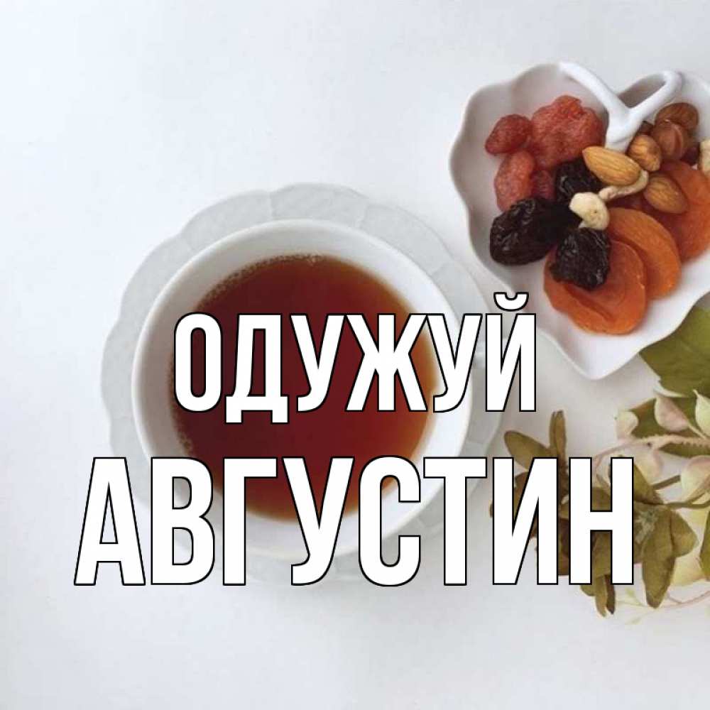 Открытка на каждый день з підписом, Августин Одужуй неизвестные растения Прикольна листівка з побажанням онлайн скачати безкоштовно 