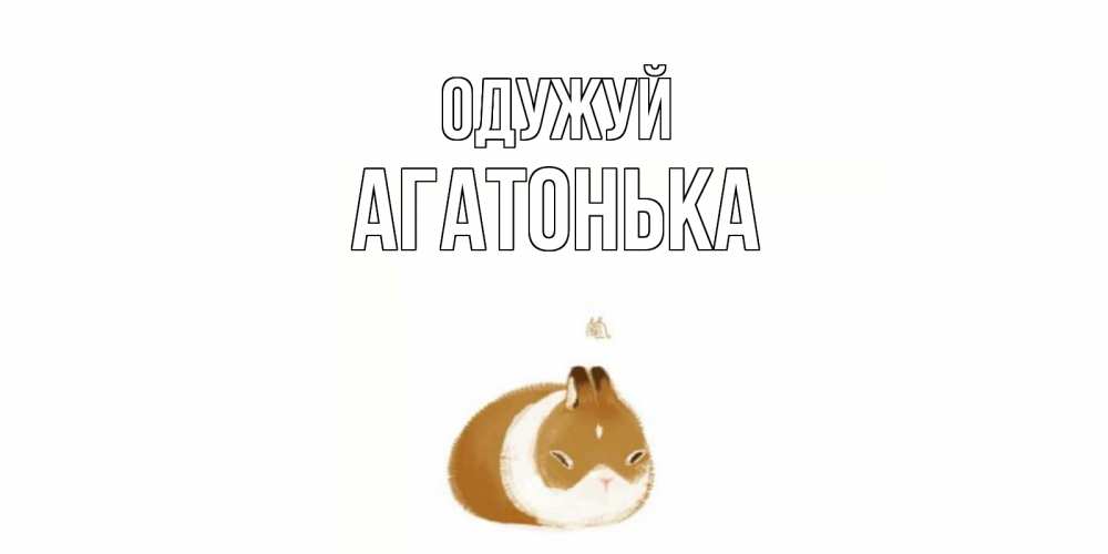 Открытка на каждый день з підписом, Агатонька Одужуй морская свинка на открытке с пожеланиями не болеть Прикольна листівка з побажанням онлайн скачати безкоштовно 