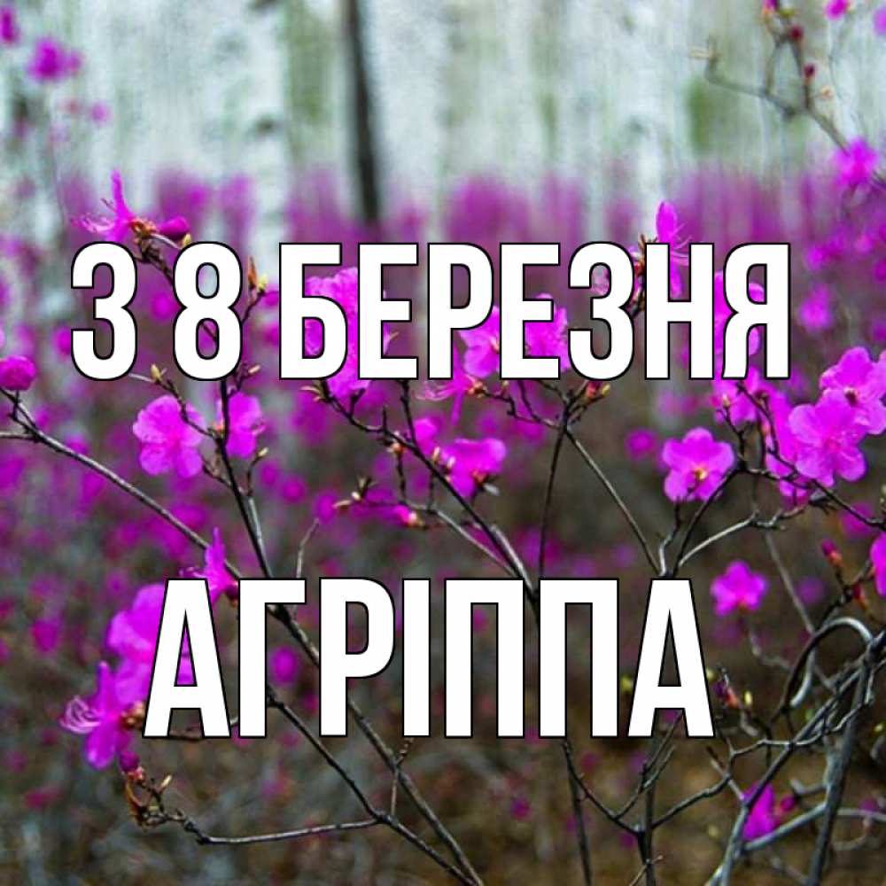Открытка на каждый день з підписом, Агріппа З 8 БЕРЕЗНЯ дикие цветы Прикольна листівка з побажанням онлайн скачати безкоштовно 