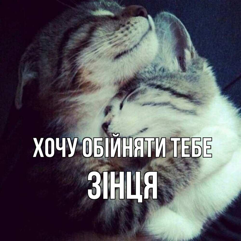 Открытка на каждый день з підписом, Зінця Хочу обійняти тебе полосатики Прикольна листівка з побажанням онлайн скачати безкоштовно 