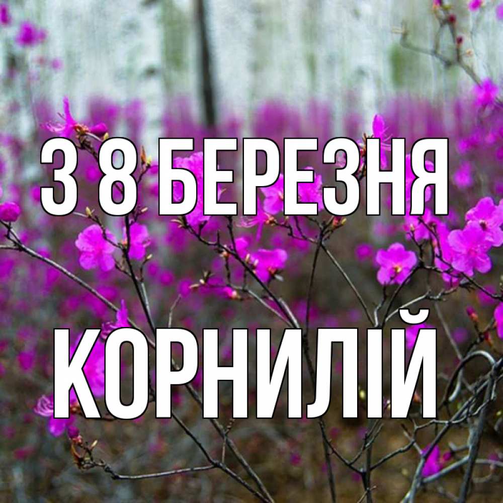 Открытка на каждый день з підписом, Корнилій З 8 БЕРЕЗНЯ дикие цветы Прикольна листівка з побажанням онлайн скачати безкоштовно 