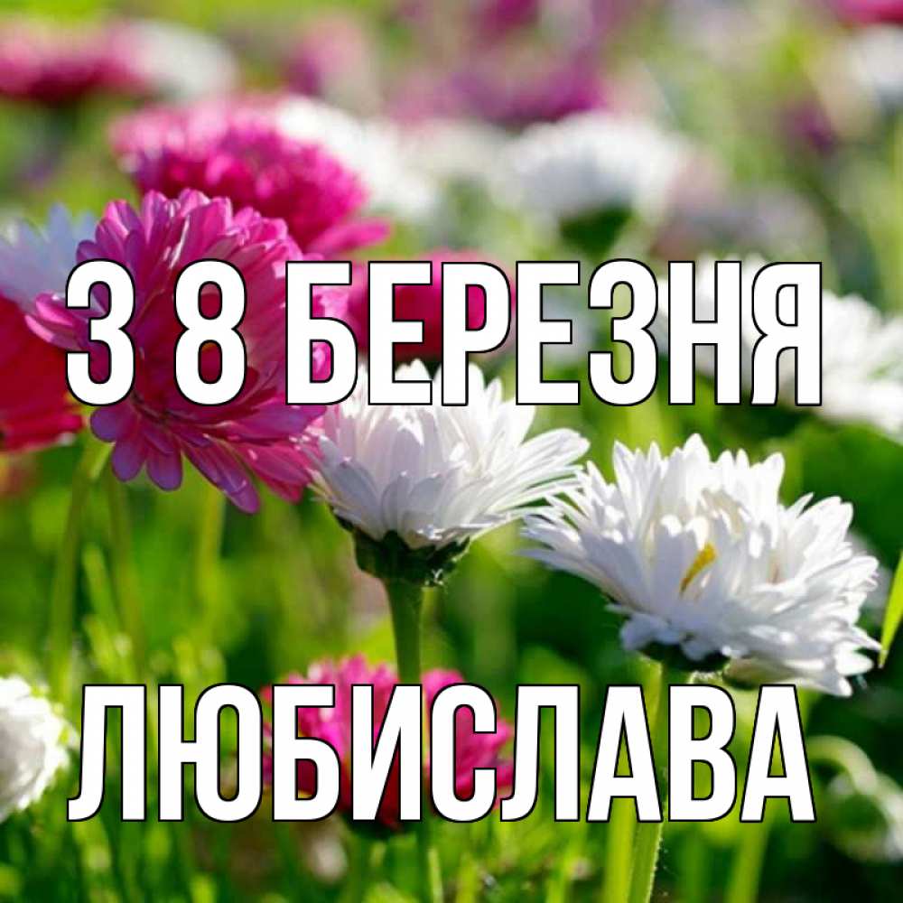 Открытка на каждый день з підписом, Любислава З 8 БЕРЕЗНЯ международный женский день 1 Прикольна листівка з побажанням онлайн скачати безкоштовно 