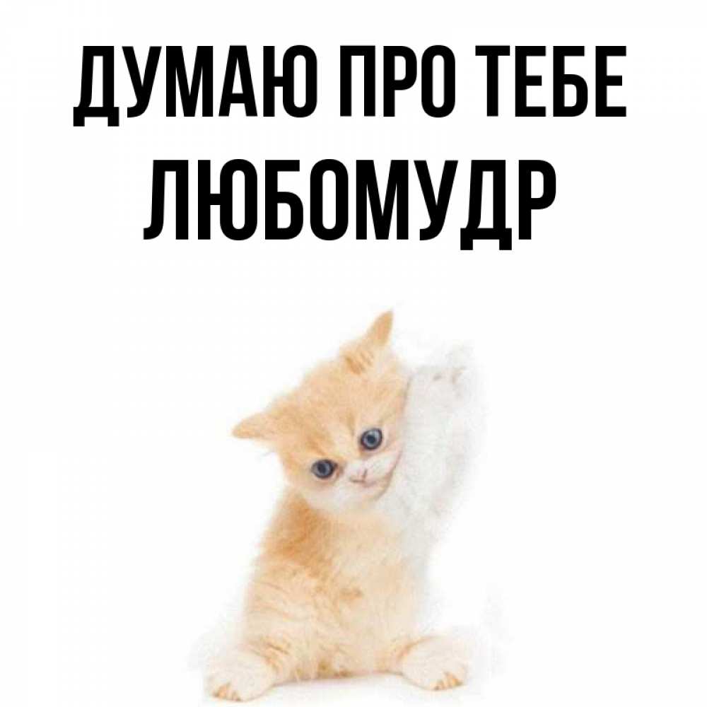 Открытка на каждый день з підписом, Любомудр Думаю про тебе зверушки и милота Прикольна листівка з побажанням онлайн скачати безкоштовно 