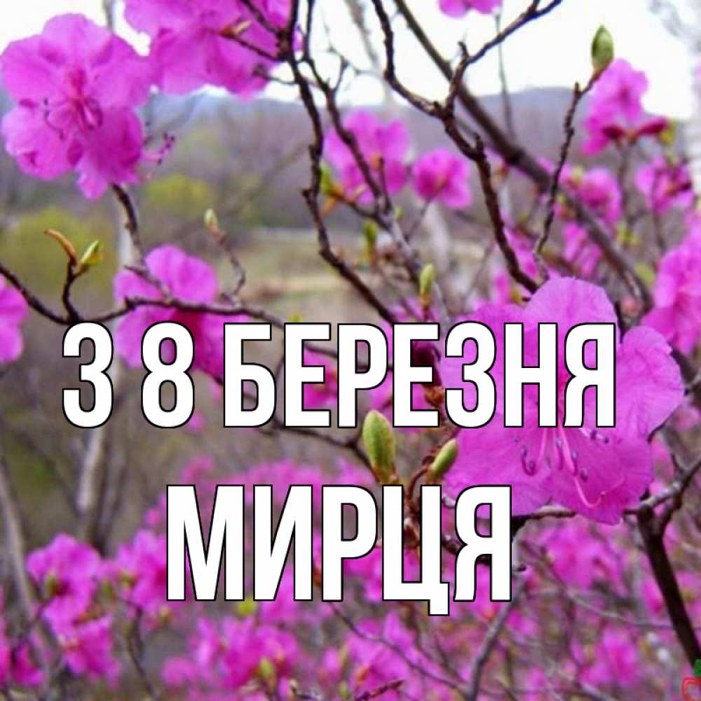Открытка на каждый день з підписом, Мирця З 8 БЕРЕЗНЯ международный женский день Прикольна листівка з побажанням онлайн скачати безкоштовно 