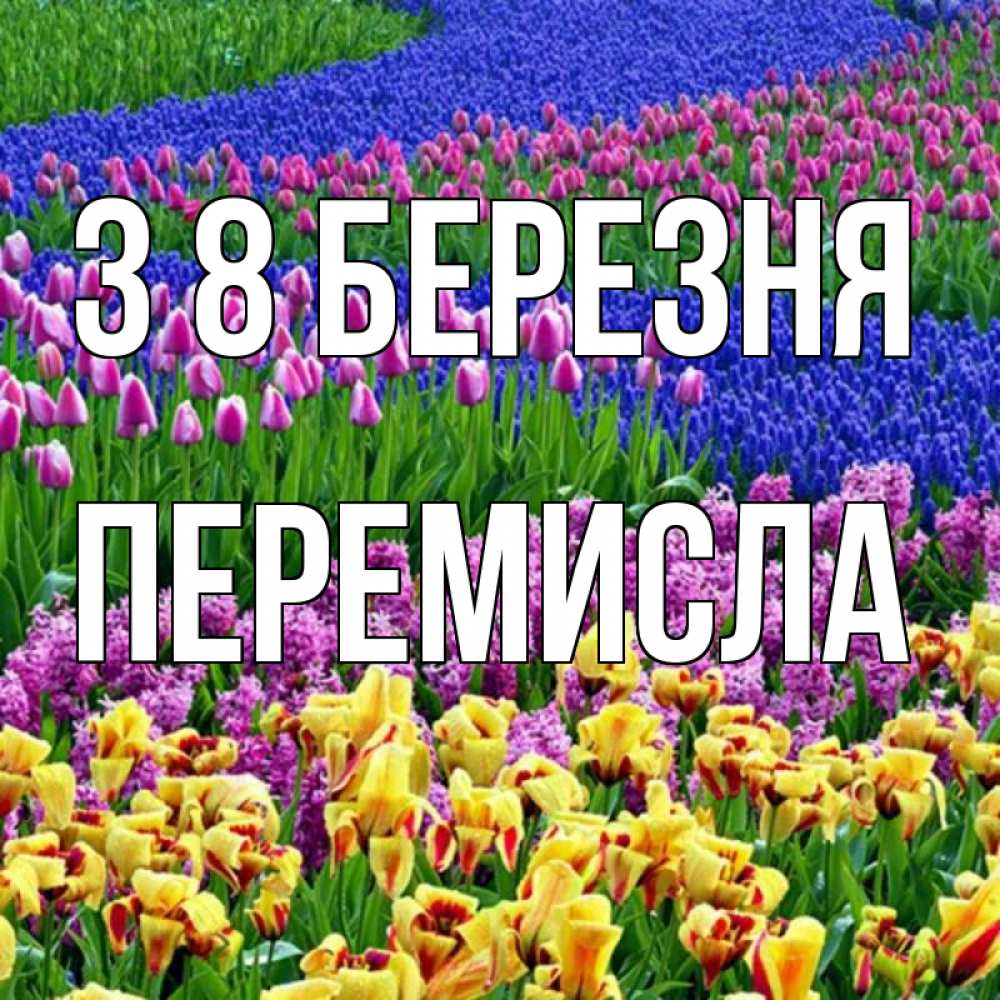 Открытка на каждый день з підписом, Перемисла З 8 БЕРЕЗНЯ цветы Прикольна листівка з побажанням онлайн скачати безкоштовно 