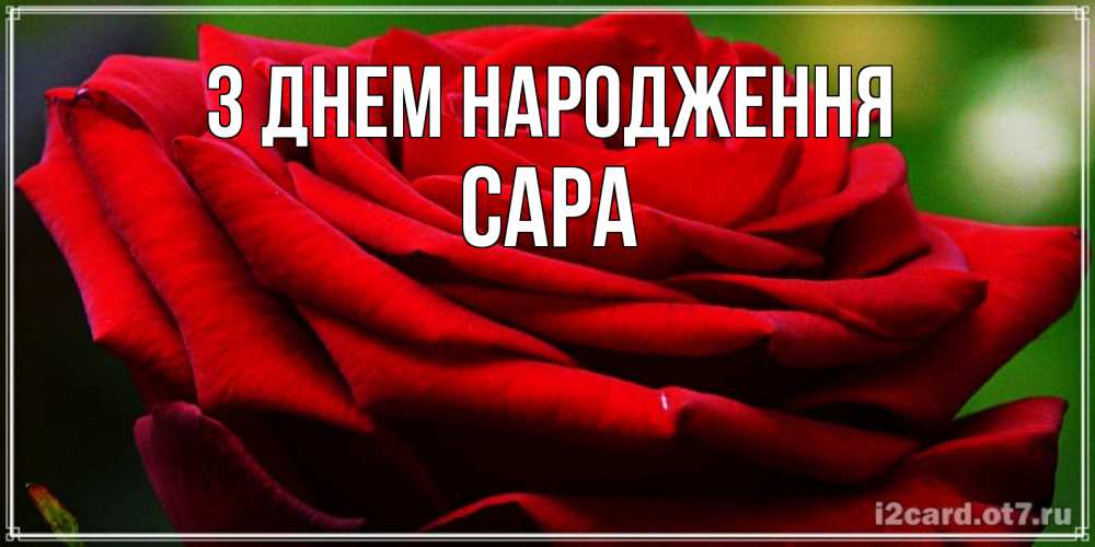 Открытка на каждый день з підписом, Сара З Днем народження розочка очень красивая Прикольна листівка з побажанням онлайн скачати безкоштовно 