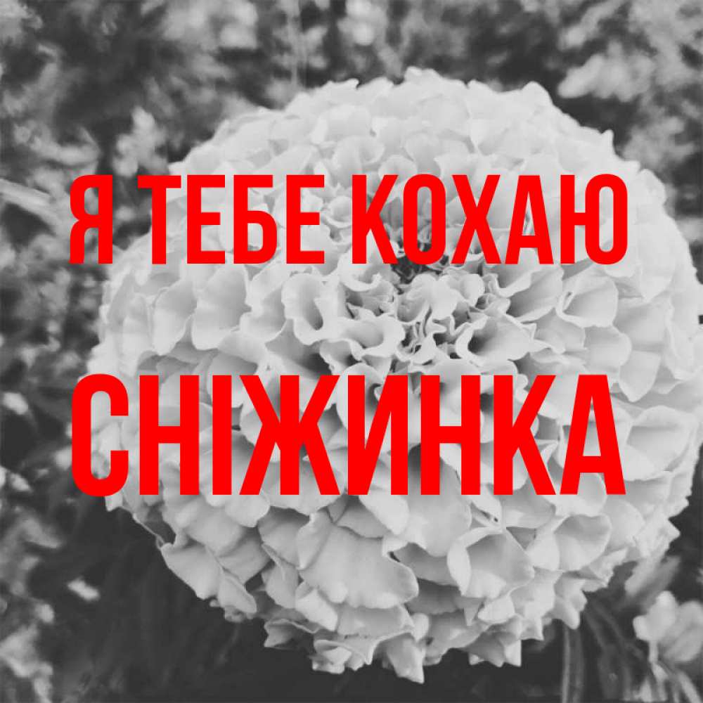 Открытка на каждый день з підписом, Сніжинка Я тебе кохаю подпись Прикольна листівка з побажанням онлайн скачати безкоштовно 