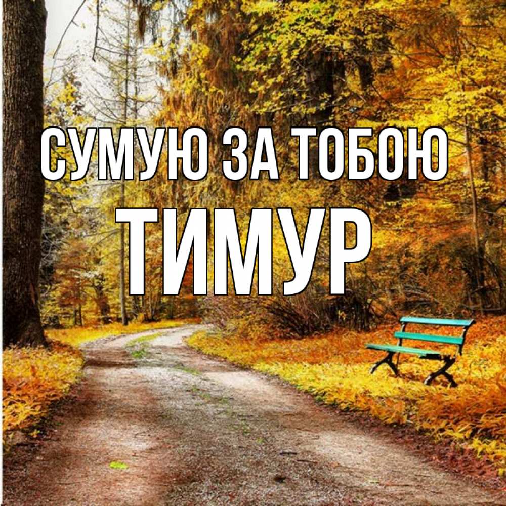 Открытка на каждый день з підписом, Тимур Сумую за тобою зеленая лавочка и осенний лес Прикольна листівка з побажанням онлайн скачати безкоштовно 